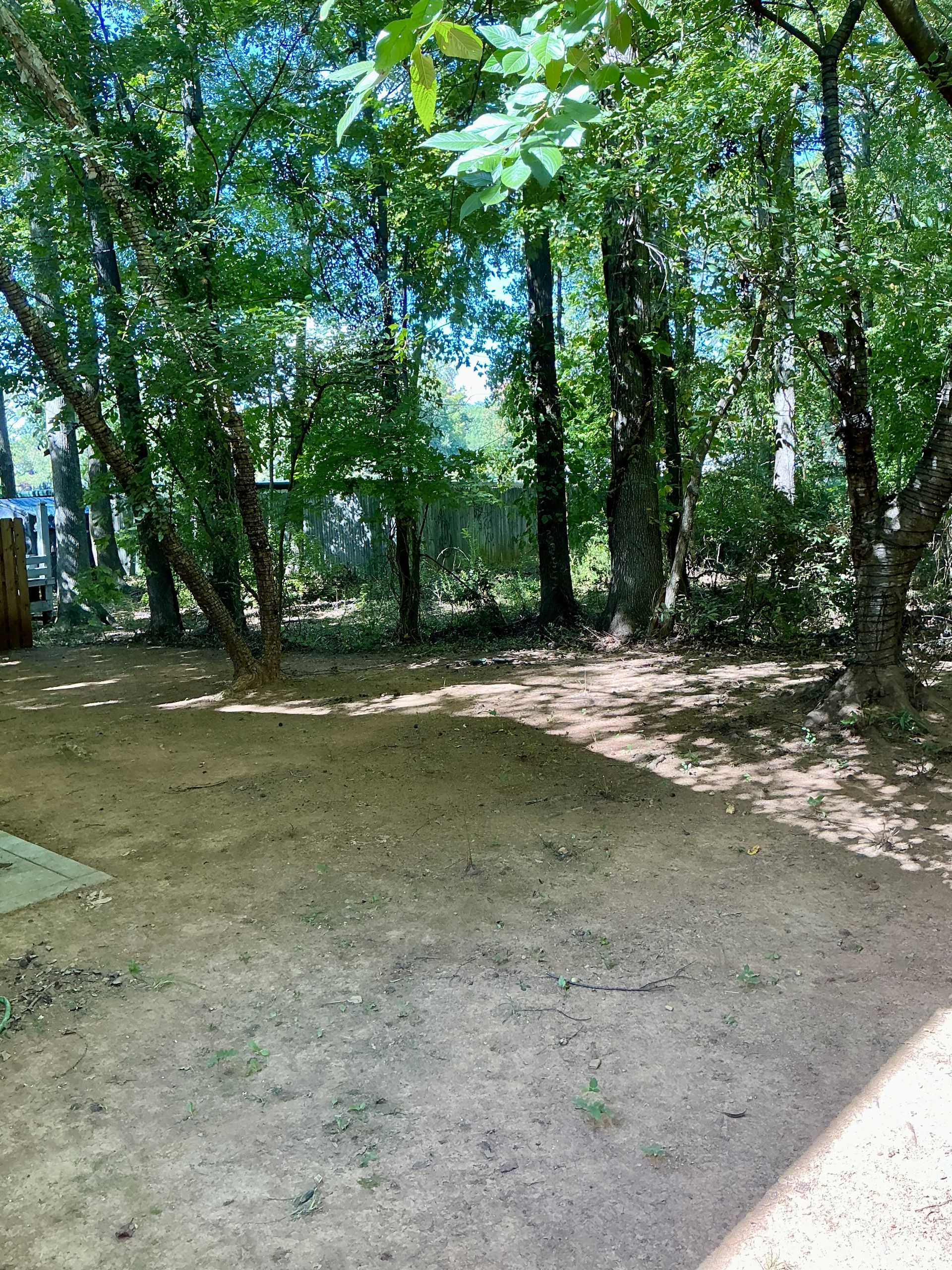 IMG 0066